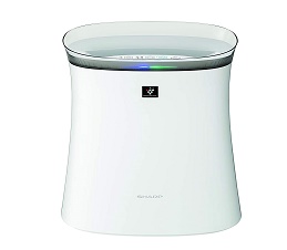 air purifier for home