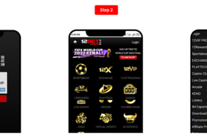 Navigating 12Bet. From Registration to Support