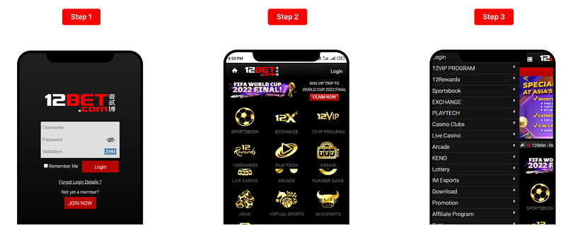 Navigating 12Bet. From Registration to Support
